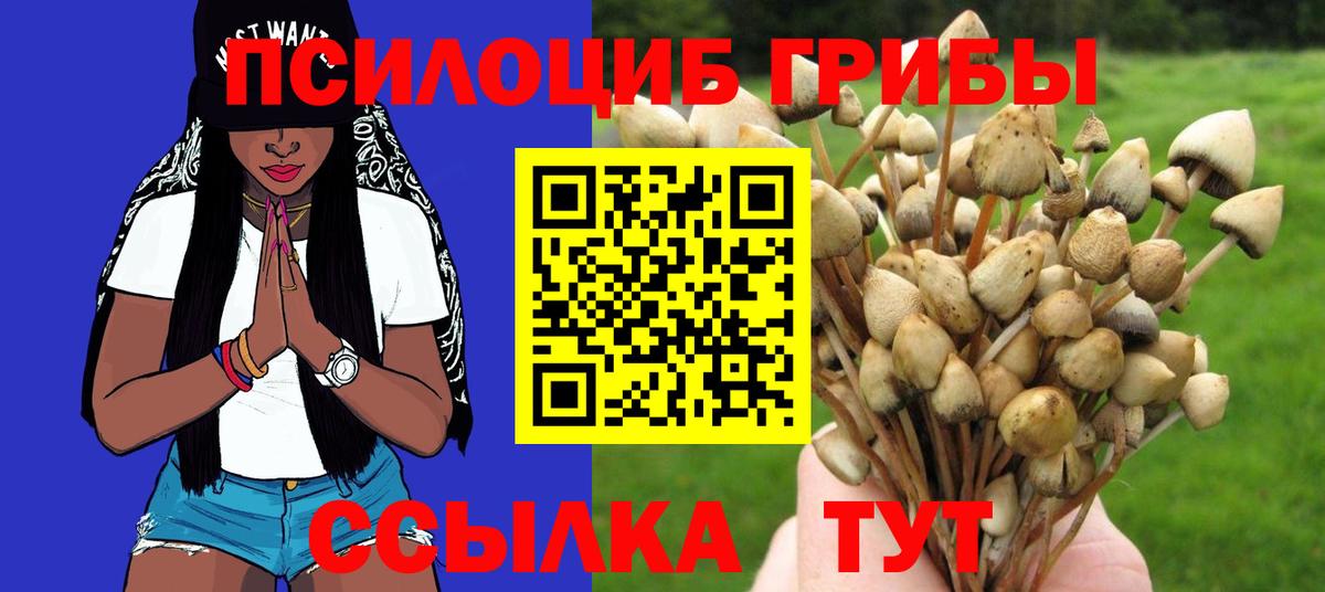 дарнет шоп  Вход с VPN  Россия  Галлюциногенные грибы Psilocybine cubensis 